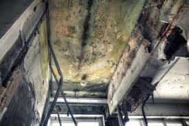 Asbestos and Lead Testing During Mold Inspection